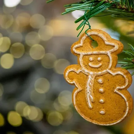 Apartman Taternik - 5 Bedrooms - Mountain View Zakopane