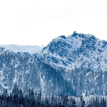 Apartman Taternik - 5 Bedrooms - Mountain View