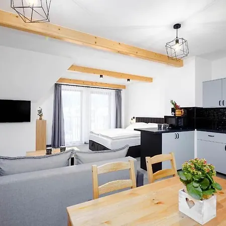Taternik - 5 Bedrooms - Mountain View Apartment Zakopane