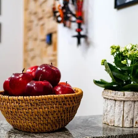 Apartman Taternik - 5 Bedrooms - Mountain View Zakopane