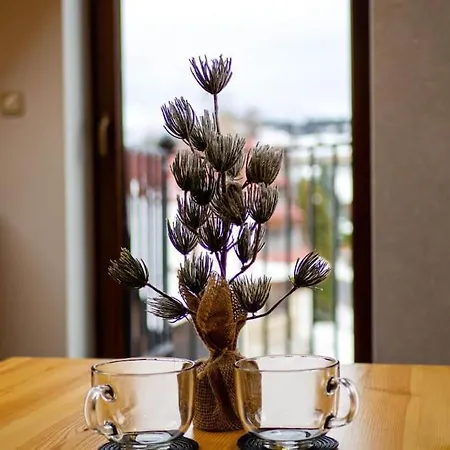 Apartman Taternik - 5 Bedrooms - Mountain View *