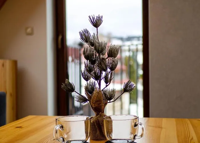 Appartement Taternik - 5 Bedrooms - Mountain View *